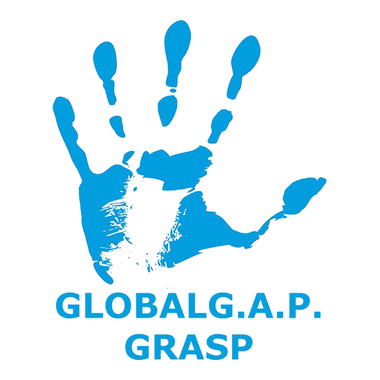 GRASP Certificate